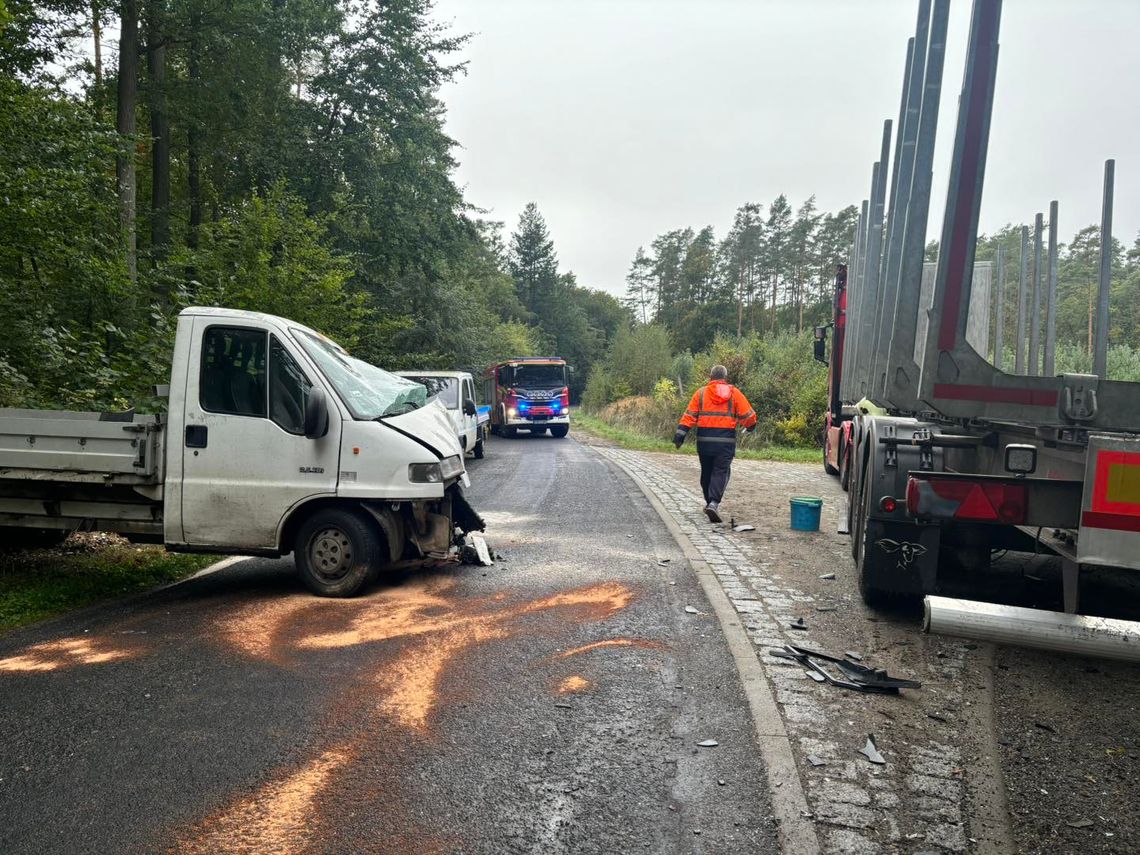 Niebezpieczna sytuacja na drodze między gminą Chojna i Cedynia [ZDJĘCIA]