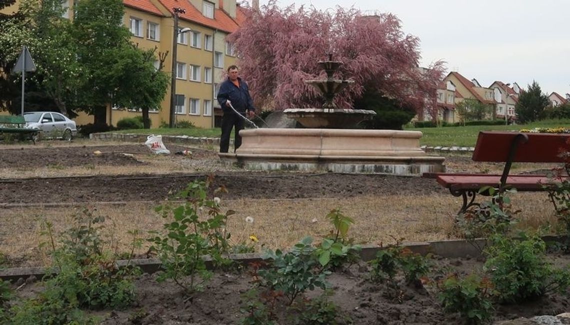 Fontanna umyta i róże podlane