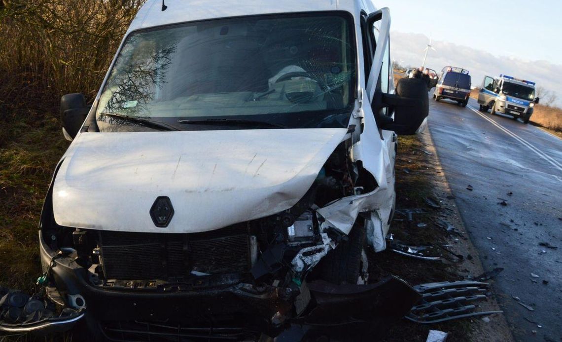 Uważajcie na zwierzęta na drodze. Dostawczak nie zdążył
