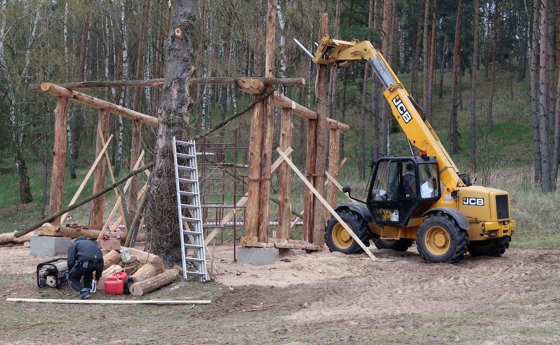 Gród zaplanowali tak, że drzewo stoi w bramie