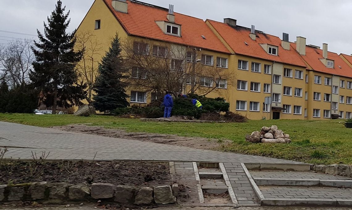Już wiosenne cięcia? Już wiosenne cięcia?