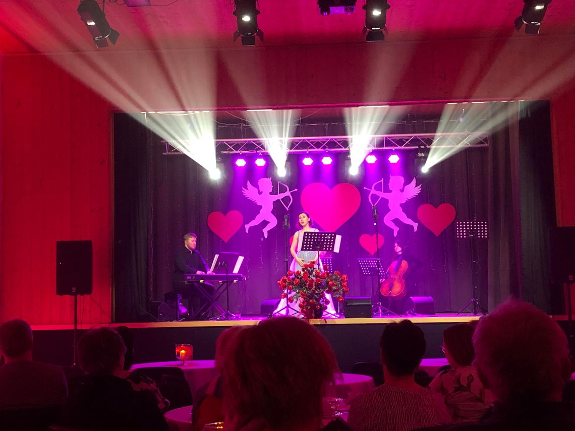 Koncert Walentynkowy „Viva l'amore – niech żyje miłość” w Trzcińsku Zdroju [FOTO, VIDEO]