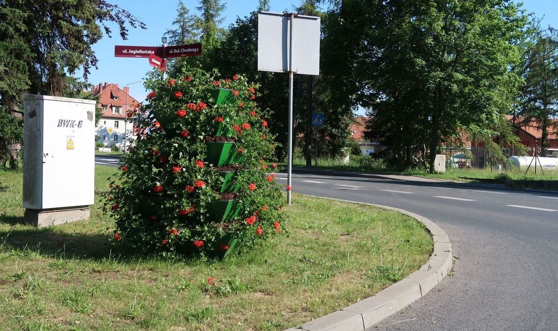 Kwiaty zastawiają kierowcom widok na skrzyżowanie