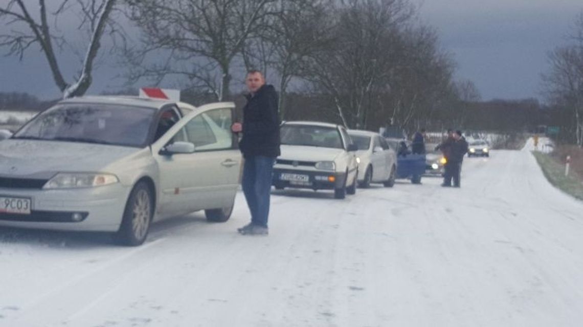 Między Cedynią a Chojną samochody stoją