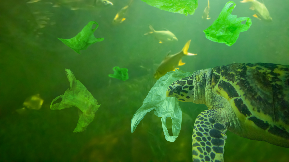 Zalewa nas plastik. Co możemy zrobić?