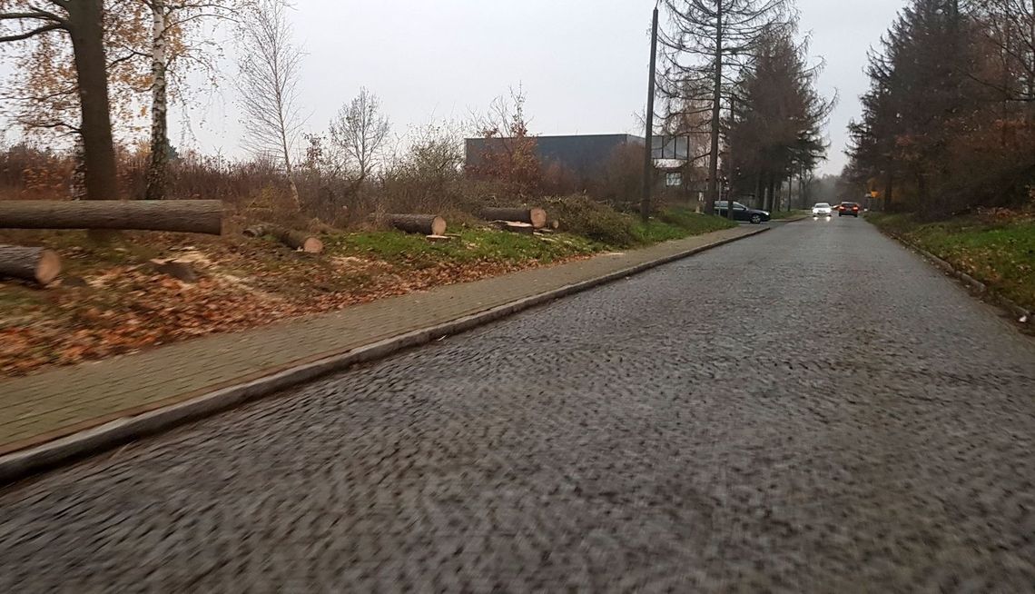 Najpierw sypali solą, a teraz wycinają