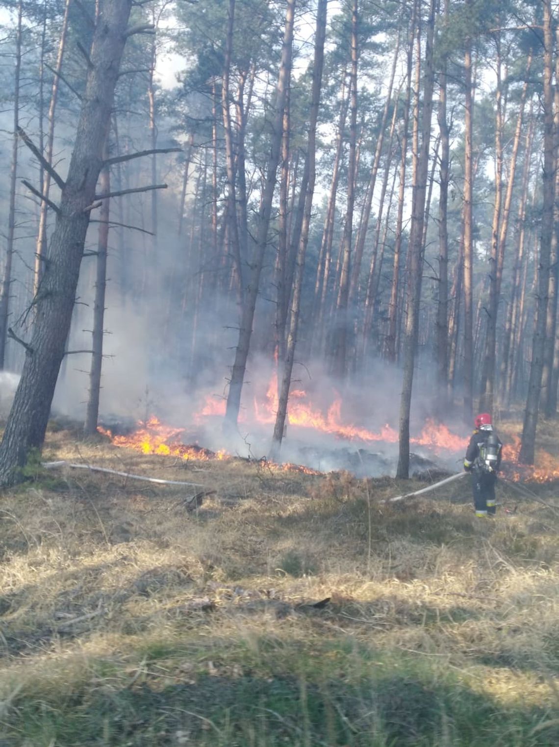 Najwyższy stopień zagrożenia pożarowego