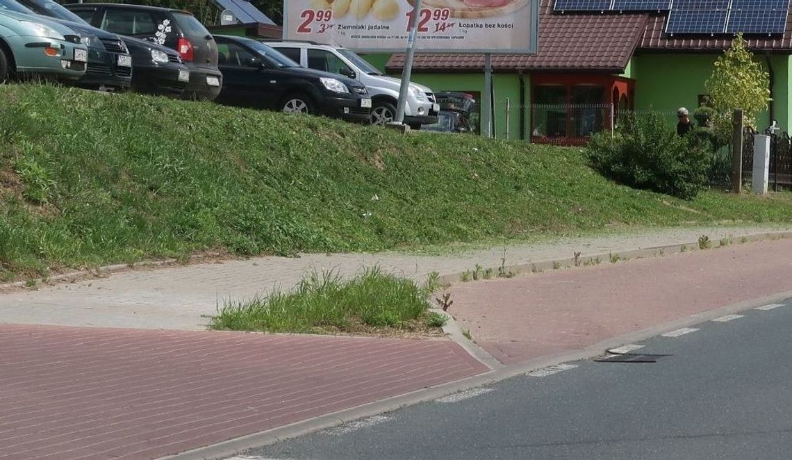 Niezbyt rozsądny wybór czasu koszenia