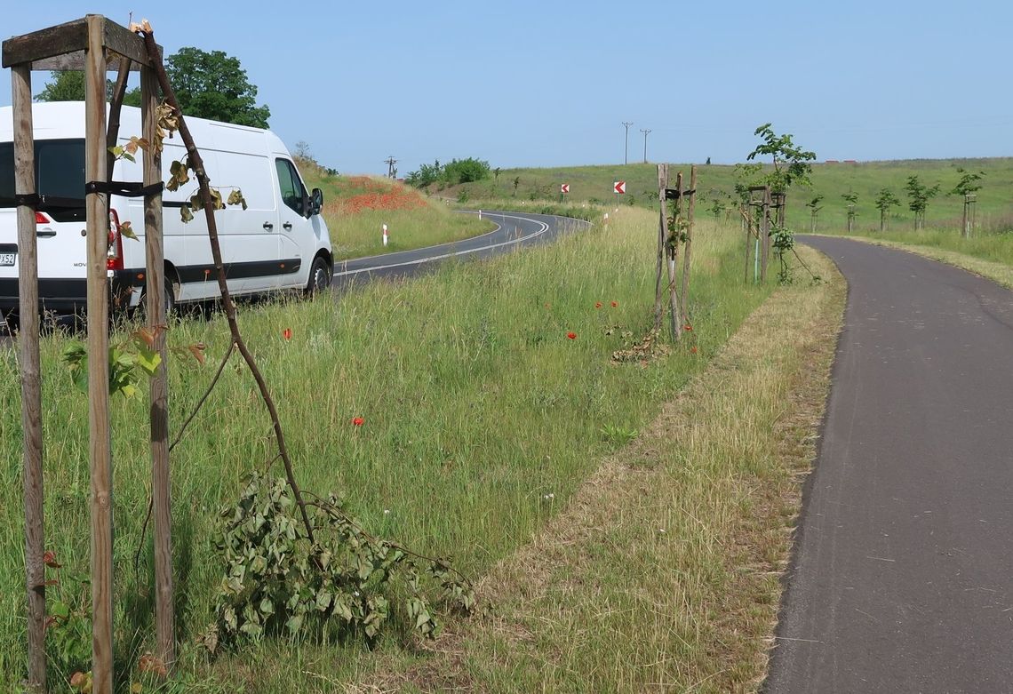 Niszczą ścieżkę pieszo-rowerową