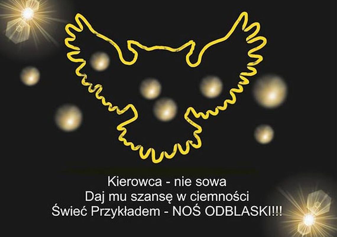 Noś odblaski. Kierowca nie sowa