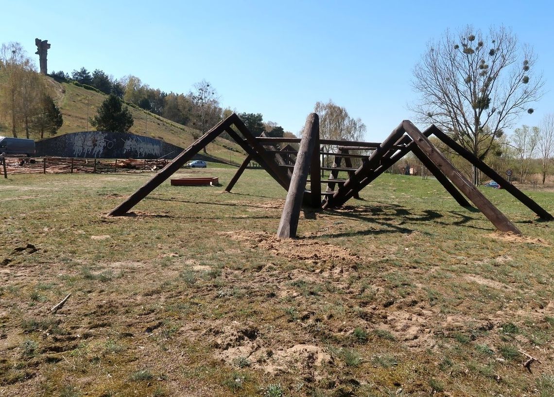 Pająk gigant "przeszedł" w stronę drogi