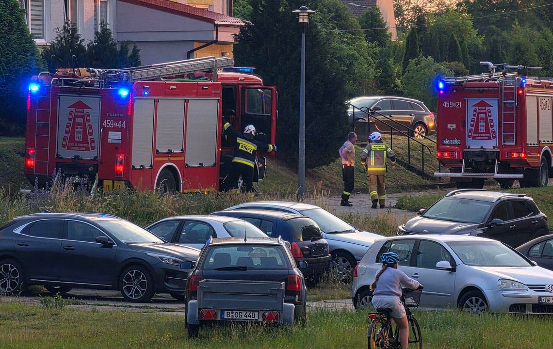 Akcja strażaków na Sójczym Wzgórzu. Przyjechał 2 zastępy