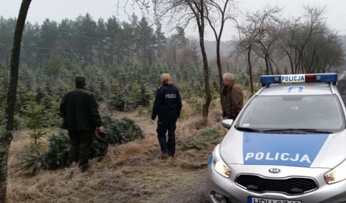 Policjanci apelują do grzybiarzy