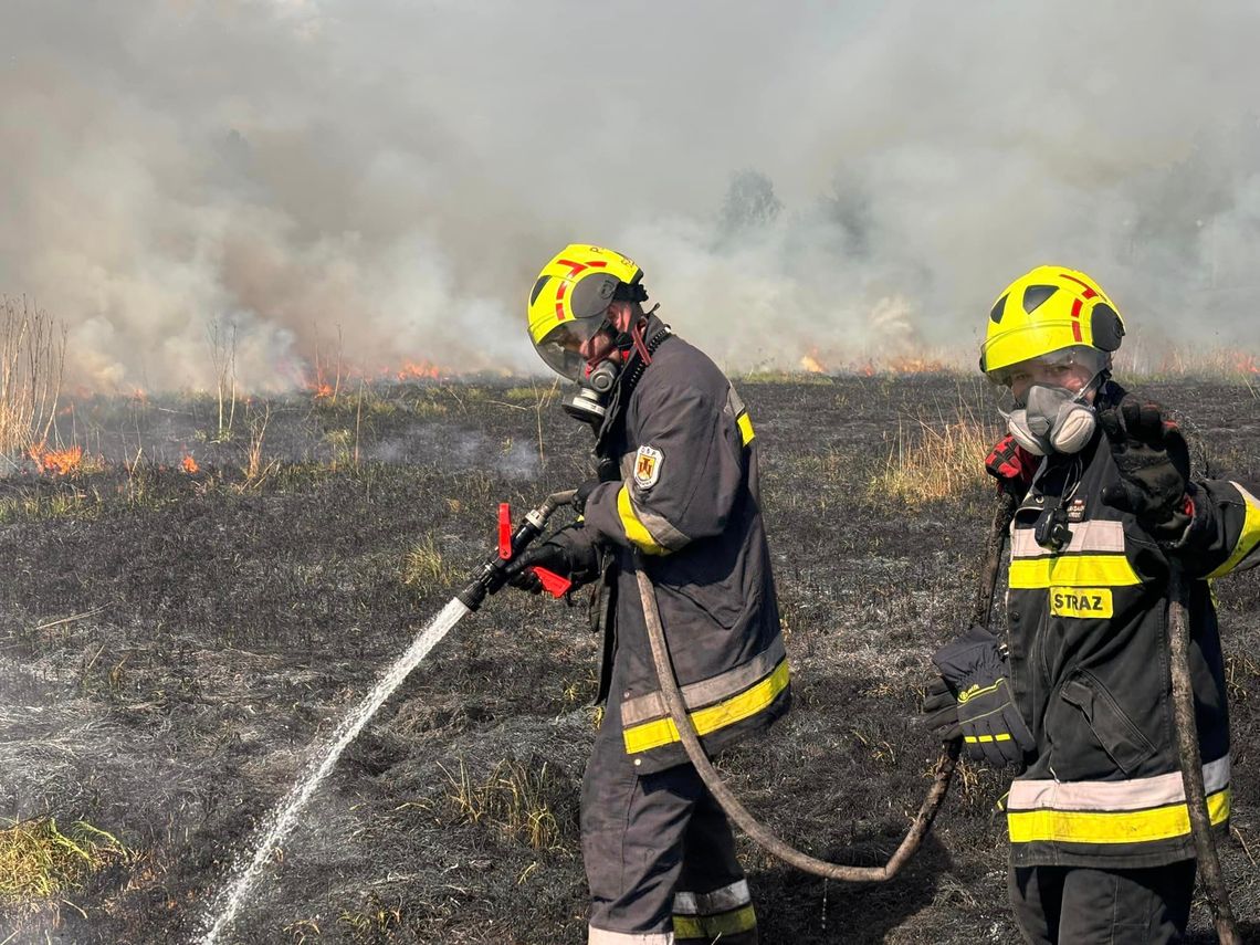 Pożar przy nasypie kolejowym w Lisim Polu