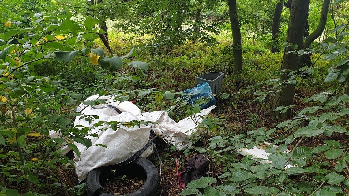 Śmieci zostawione w lesie - alarmuje czytelnik