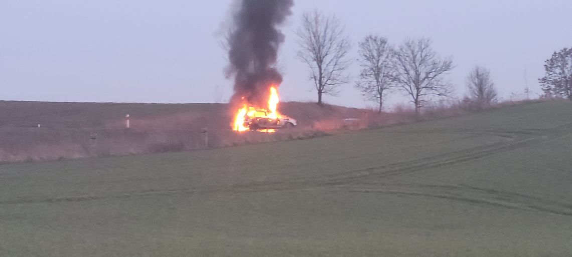 Spłonął na trasie Cedynia - Chojna