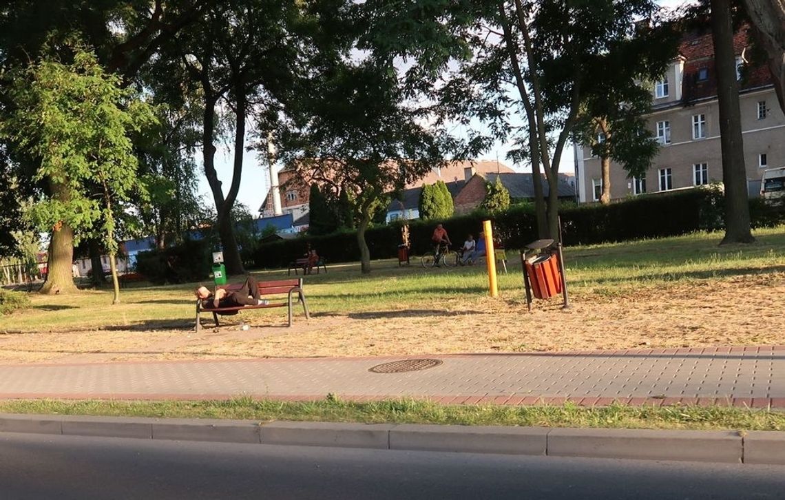 Spożywają i śpią Spożywają i śpią