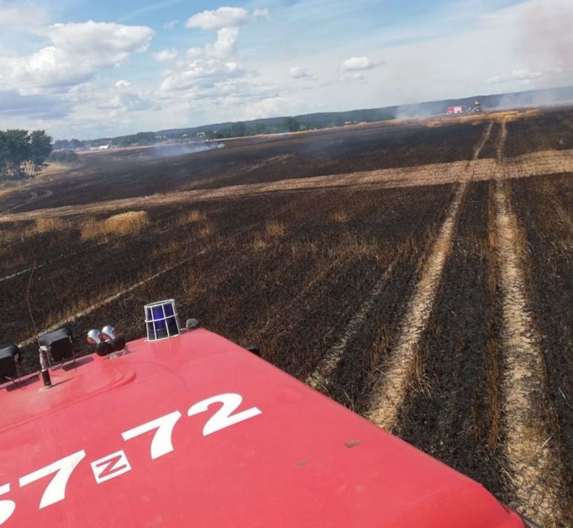 Strażacy gaszą na polach