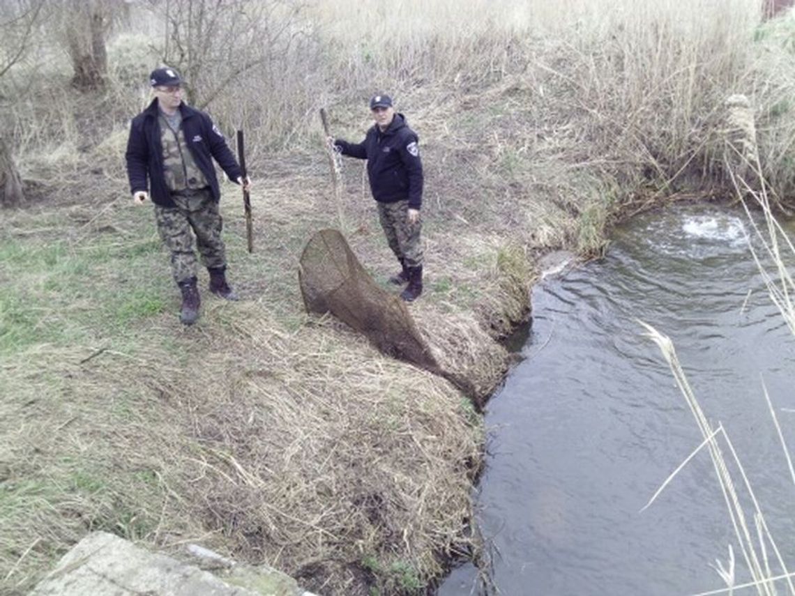 Strażnicy zabezpieczyli sprzęt kłusowników