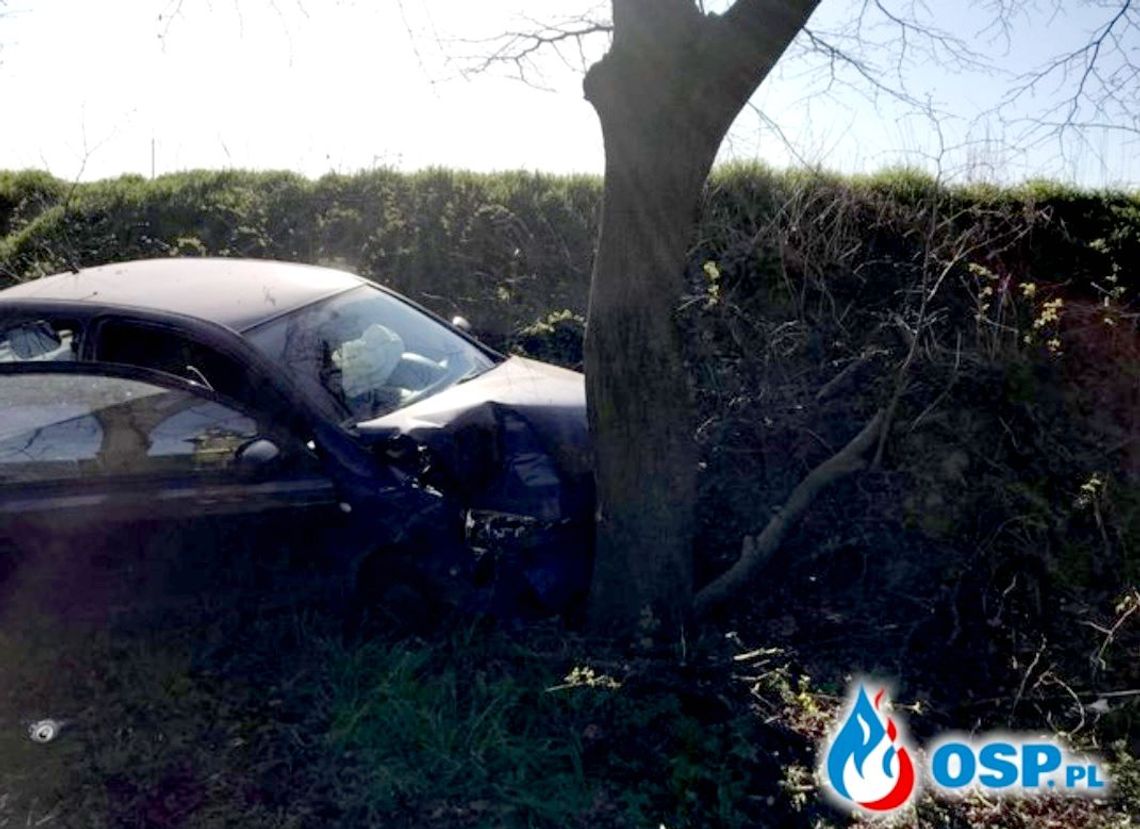 Tragedia na drodze. Uderzył autem w drzewo i zginął