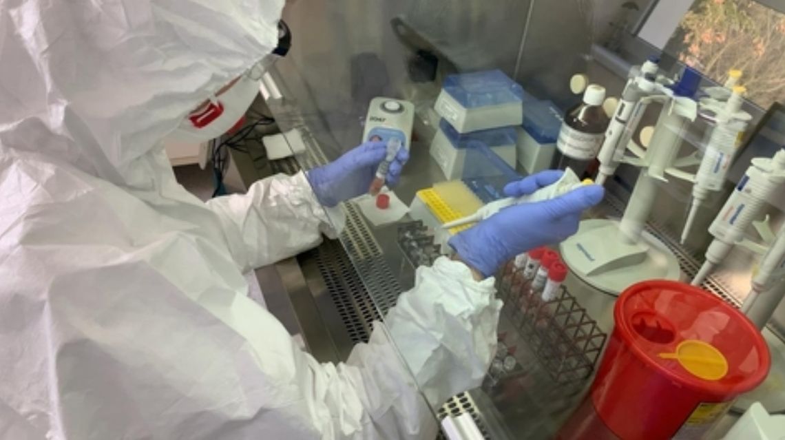 W powiecie gryfińskim pierwsze potwierdzone zakażenie koronawirusem! 31 osób zakażonych w Zachodniopomorskiem