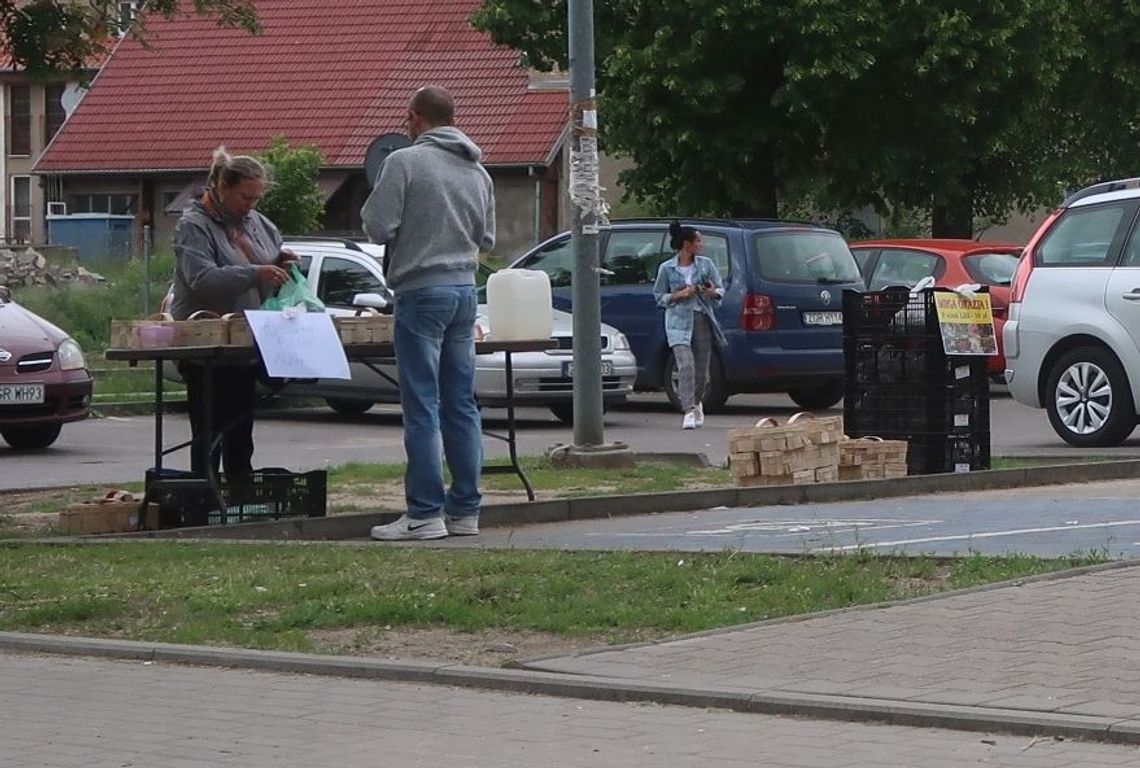 Wiemy ile trzeba zapłacić za kilogram truskawek