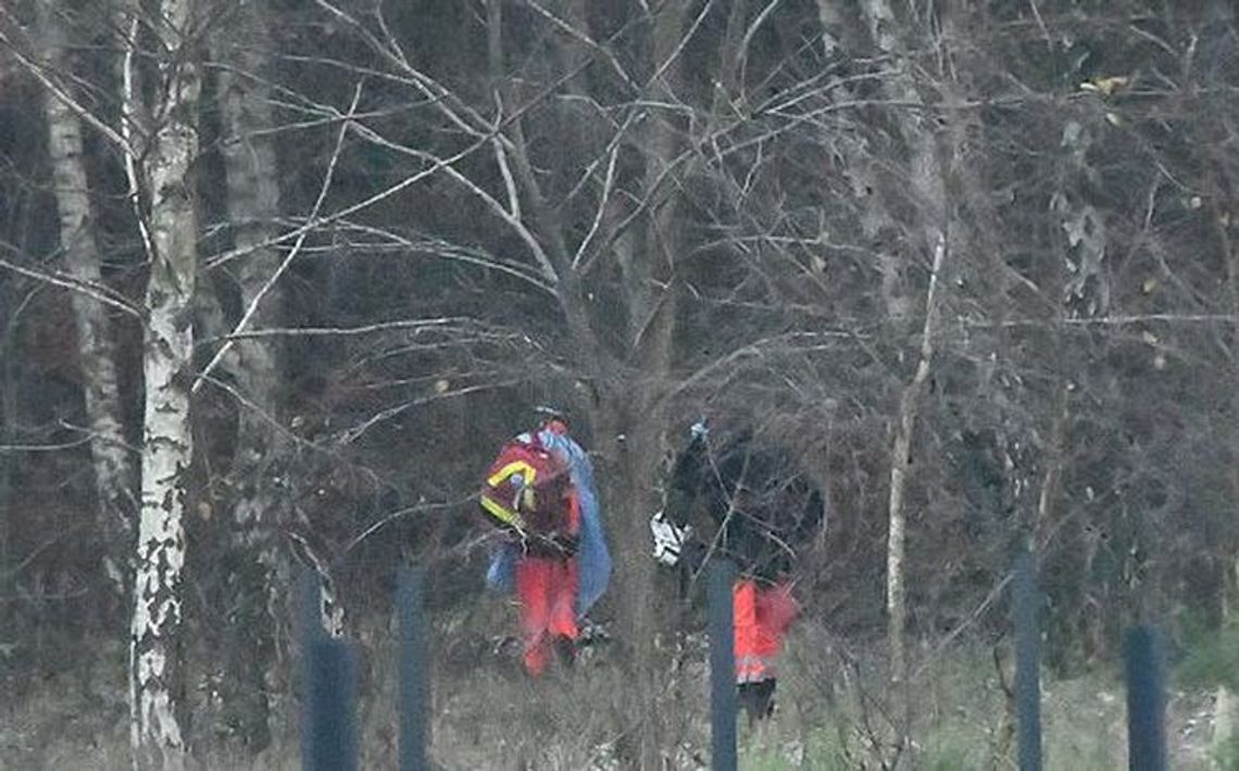 Wisiała już na drzewie jak podbiegli policjanci