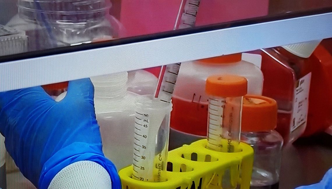 Zarażone koronawirusem kolejne dwie kobiety w powiecie gryfińskim