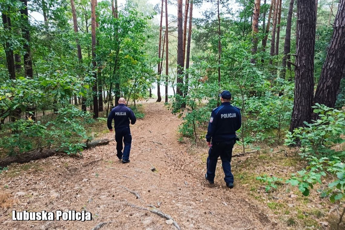 Zginął przywalony drzewem. Tragedia w lesie