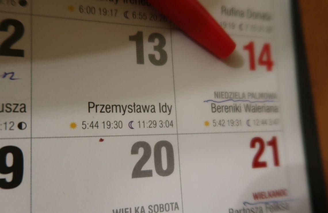 Znana jest data wyborów uzupełniających w Cedyni